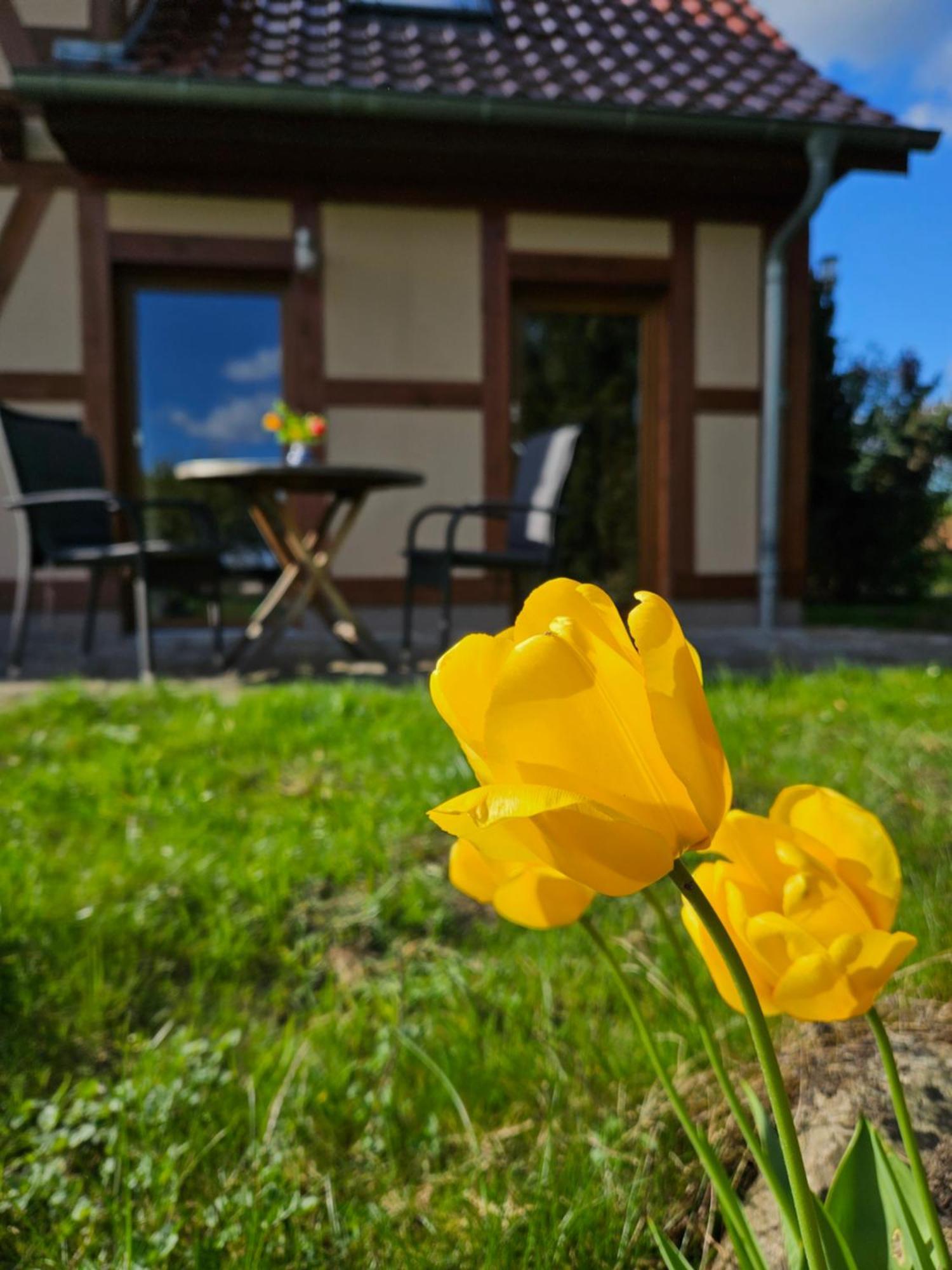 Ferienwohnung Peetsch Am See Mirow Kültér fotó